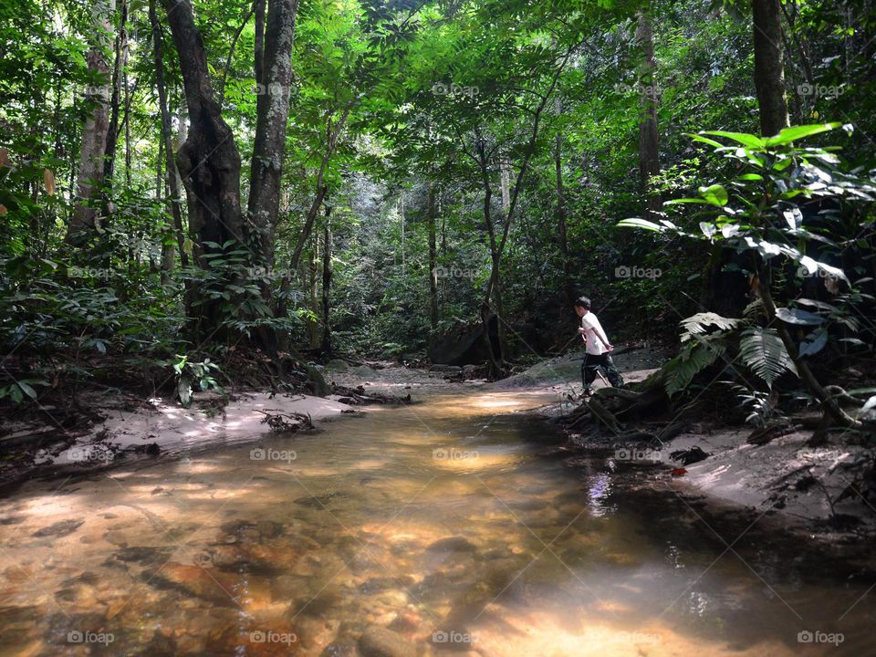 A boy walking in the stream discovering the rainforest 