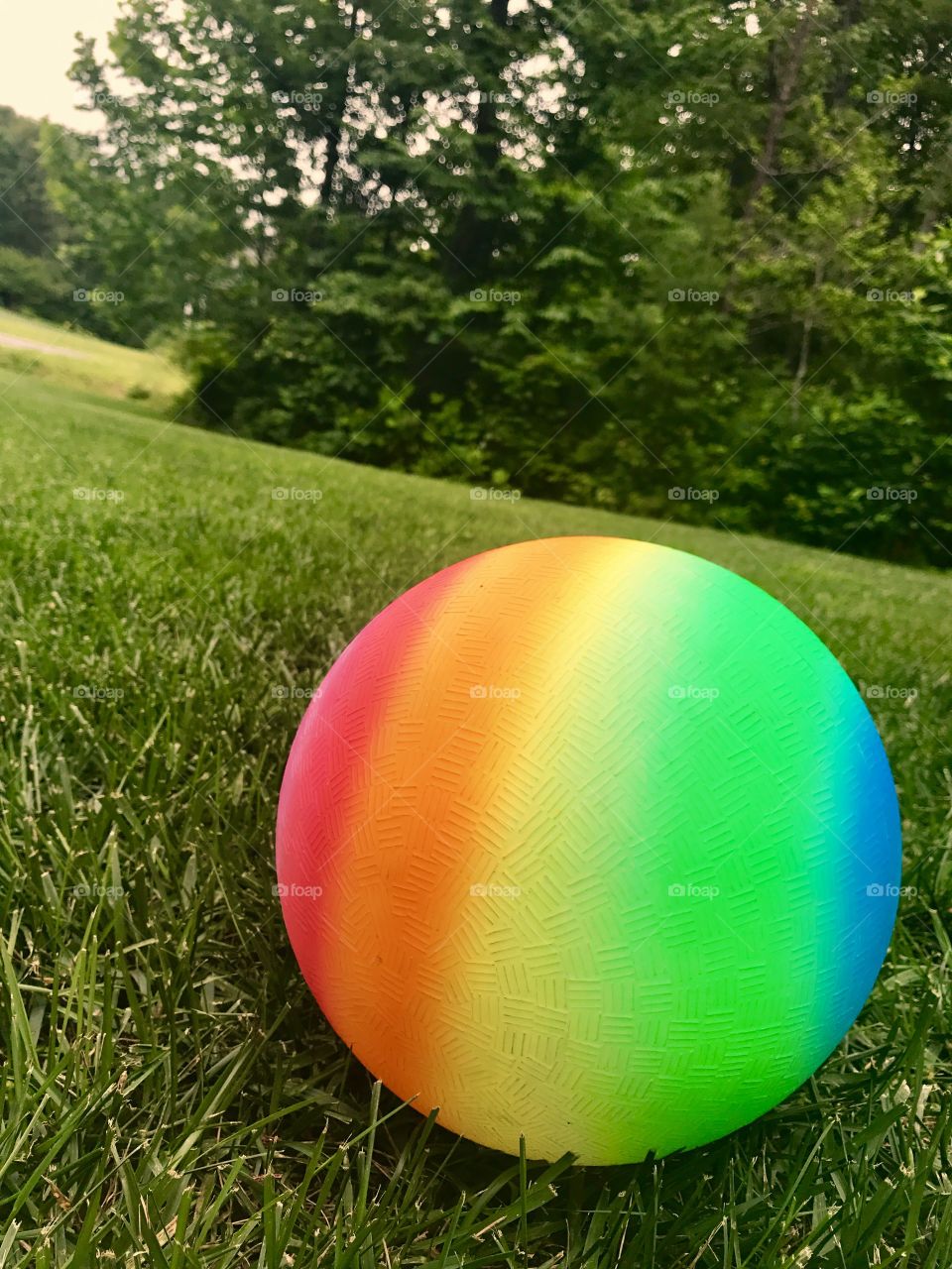  Colorful Ball on Grass