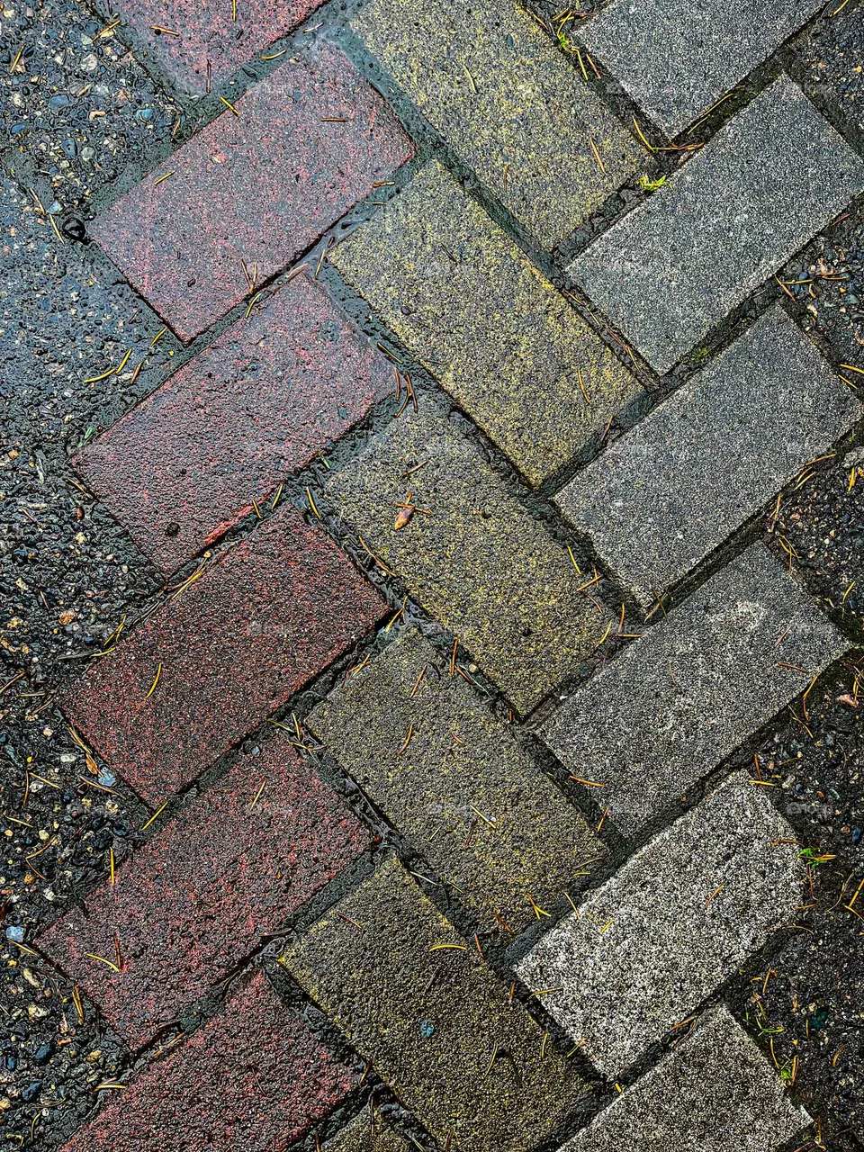 Rectangle