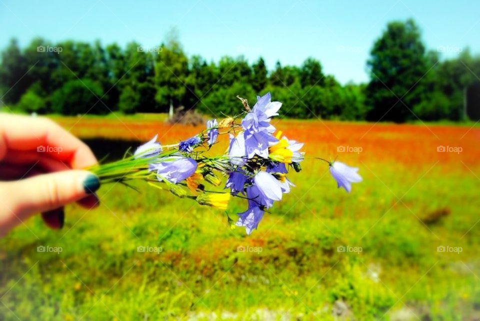 A swedish bouquet