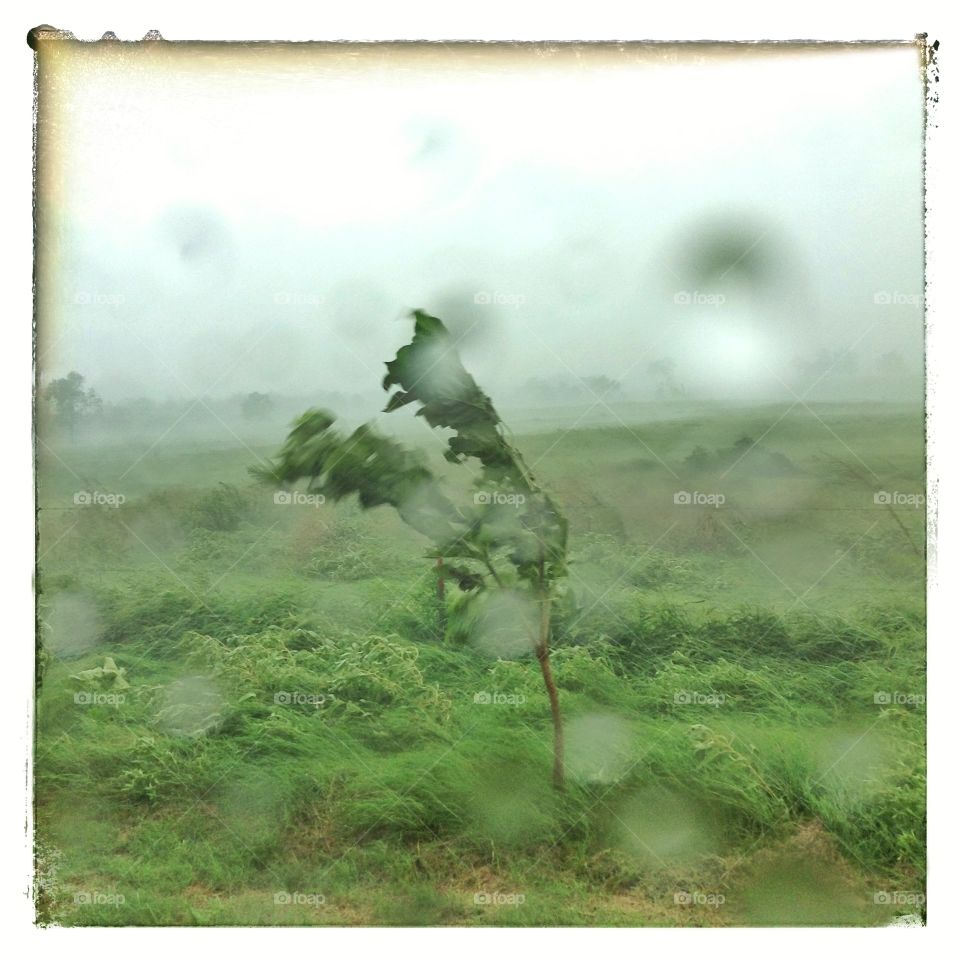 Stormy Day on the Farm