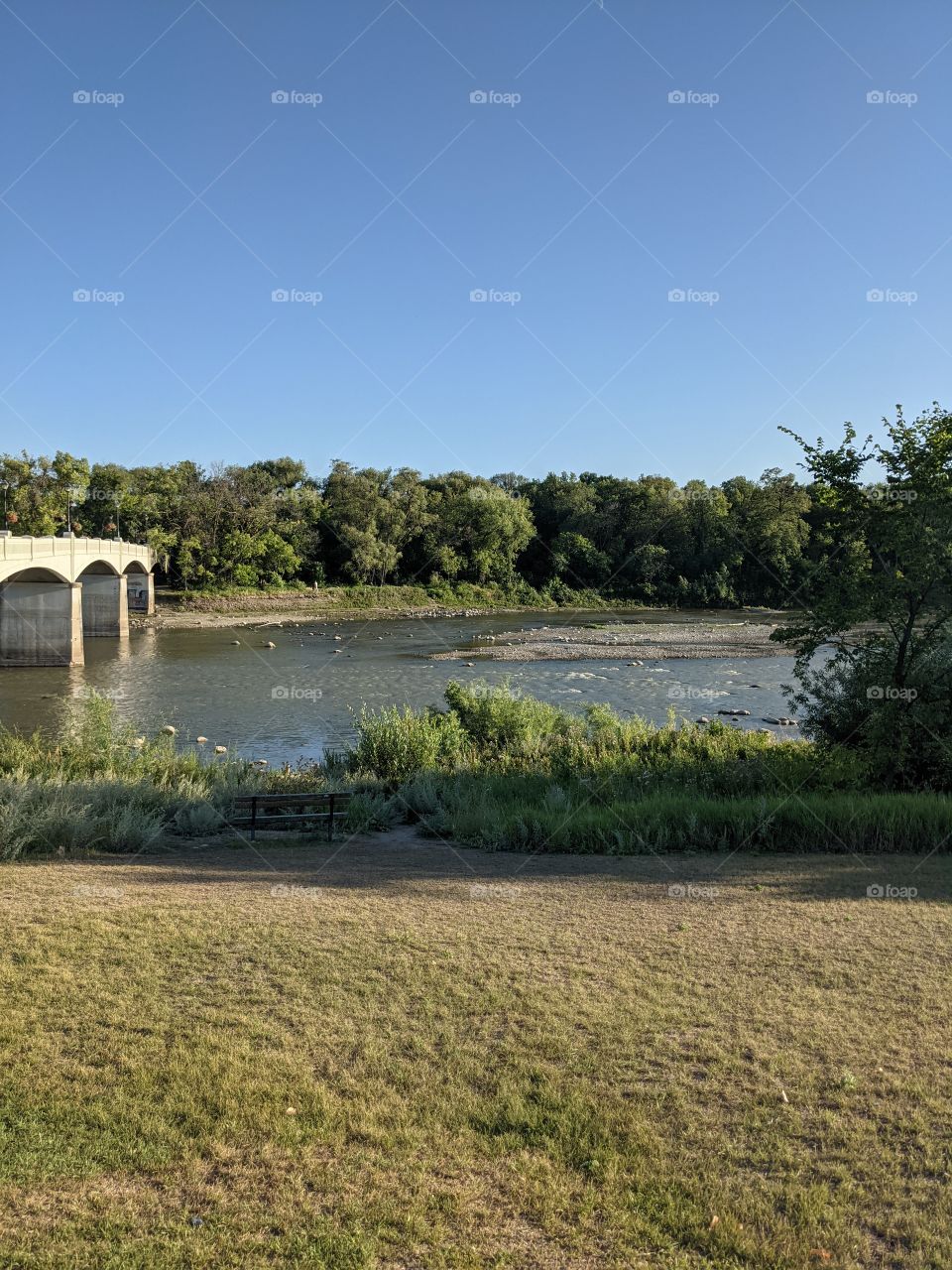 A magnificent view of trees and a beautiful bridge