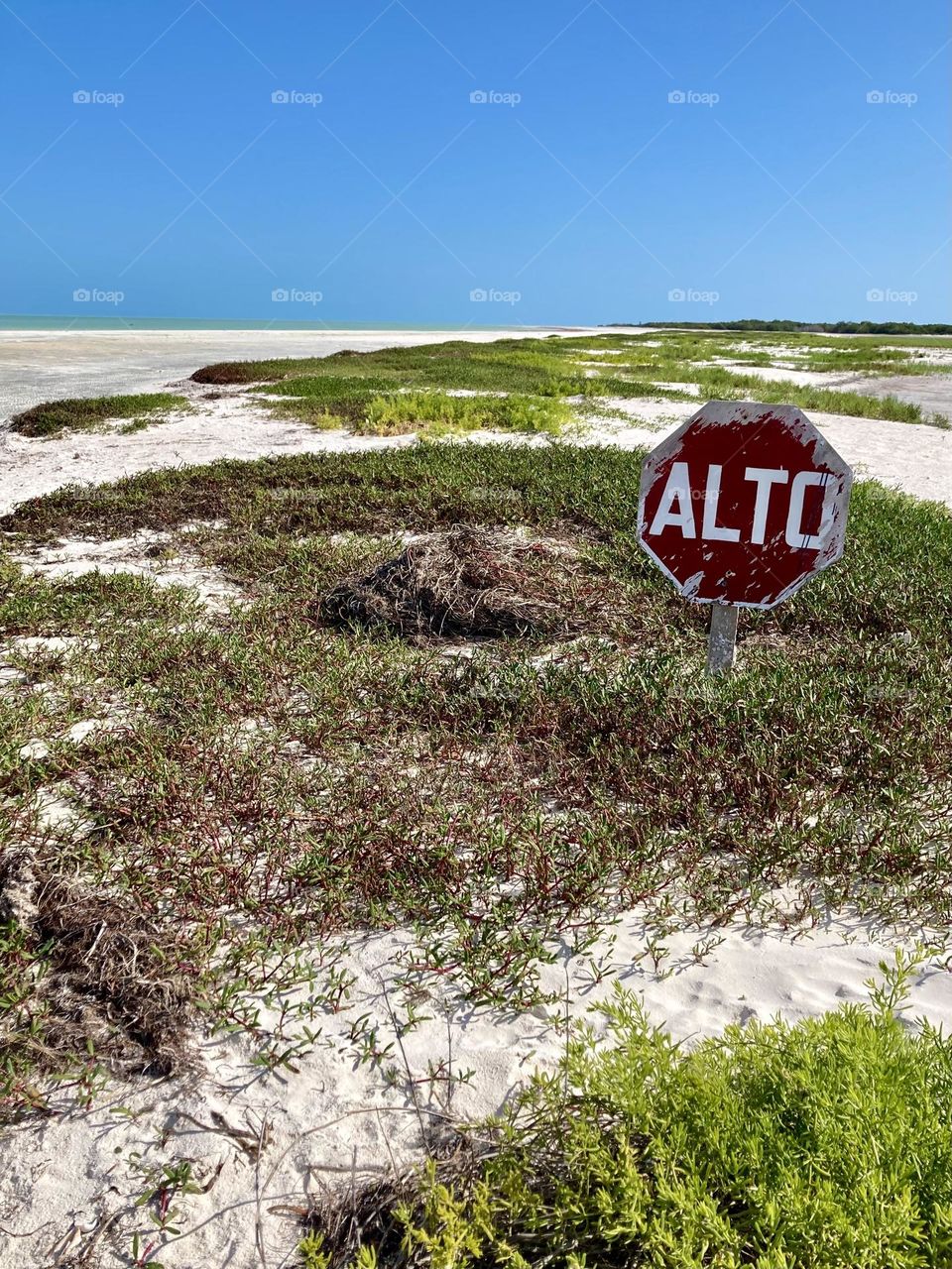 An Alto traffic sign on the beach.