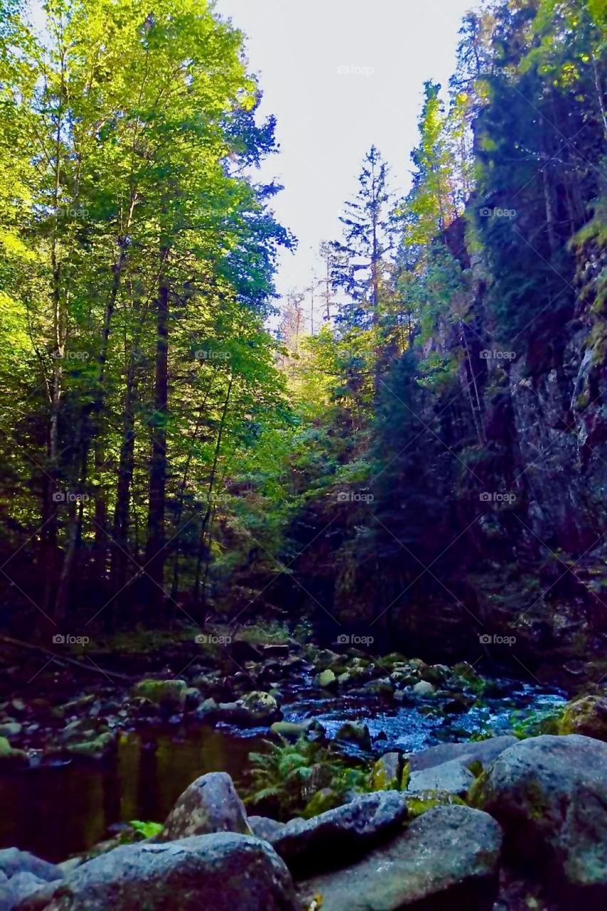 This deep forested valley was cut into the rocks ages ago by the river turned white water rapid „Wilde Wolfsteiner Ohe“ near the townships of „Ringelai“ and „Freyung-Grafenau“ in „Bavaria“ ages ago. 2023. Hypnotic Productions