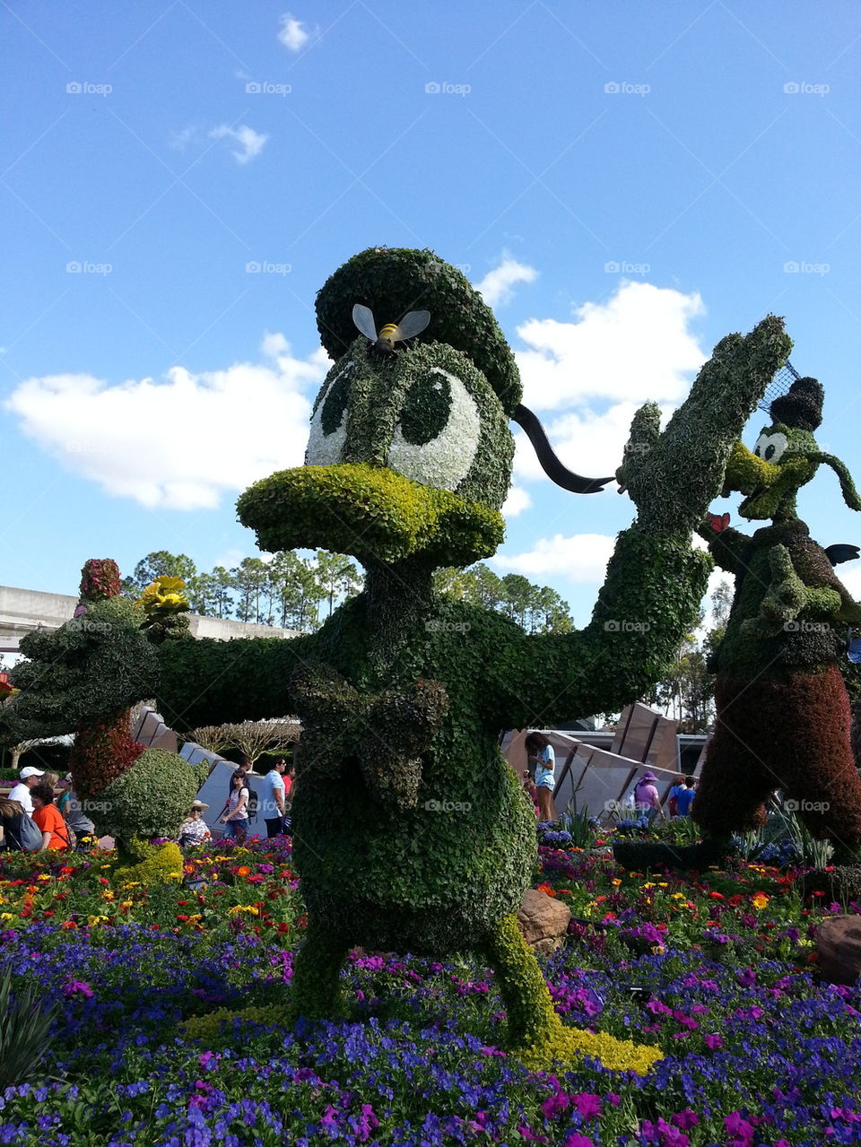 Donald Duck Topiary - Epcot Flower and Garden Festival