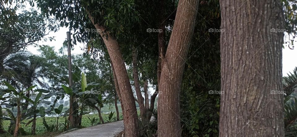 Nature of the country