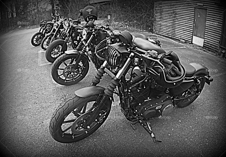 Harley Davidson motorcycles
