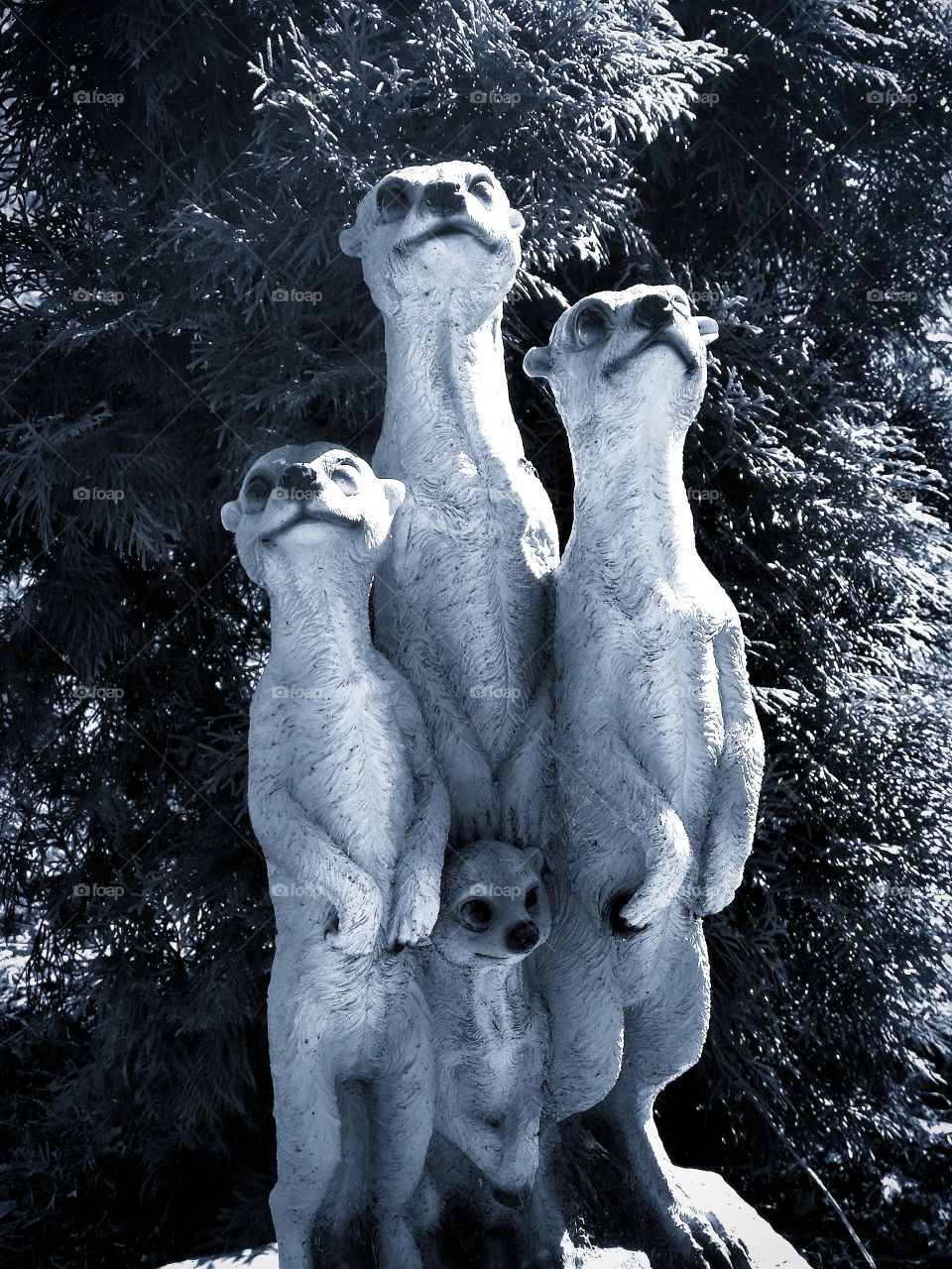 Sculpture of four meerkats against the background of a green Christmas tree