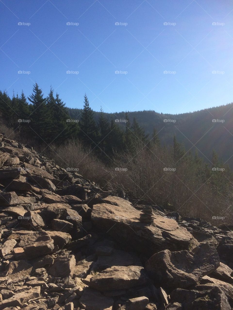 Boulder fields in the sun 