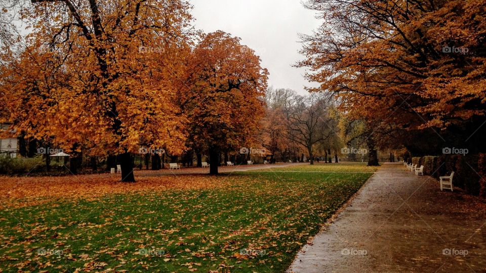 Vivid autumn in Warsaw 