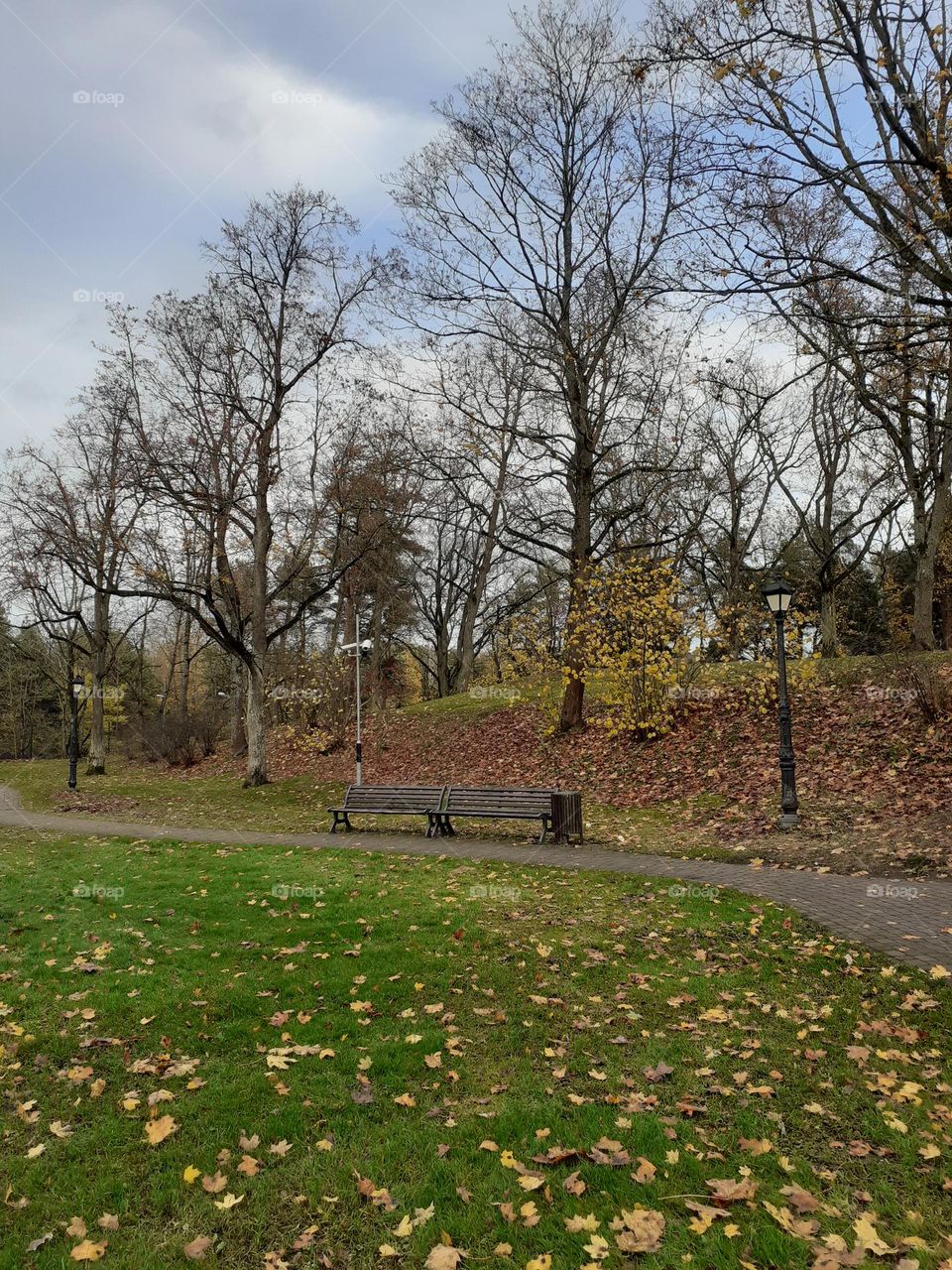 Ziemeļblazma. parks