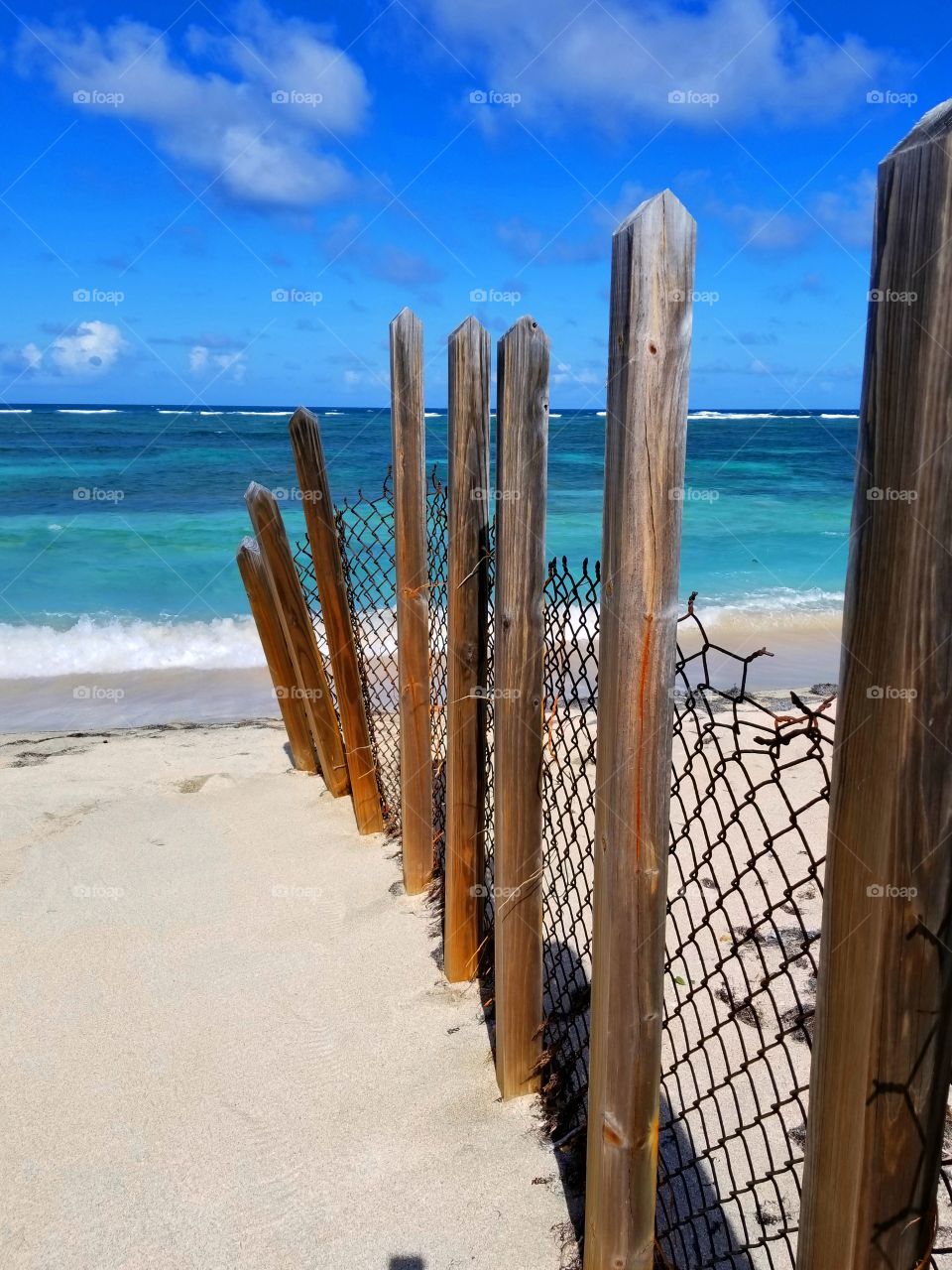 Beach Fence