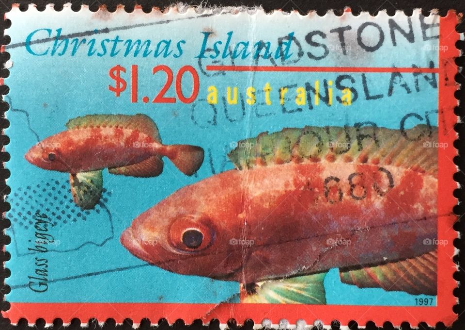 Fish, Post, Sea, Letter, Animal