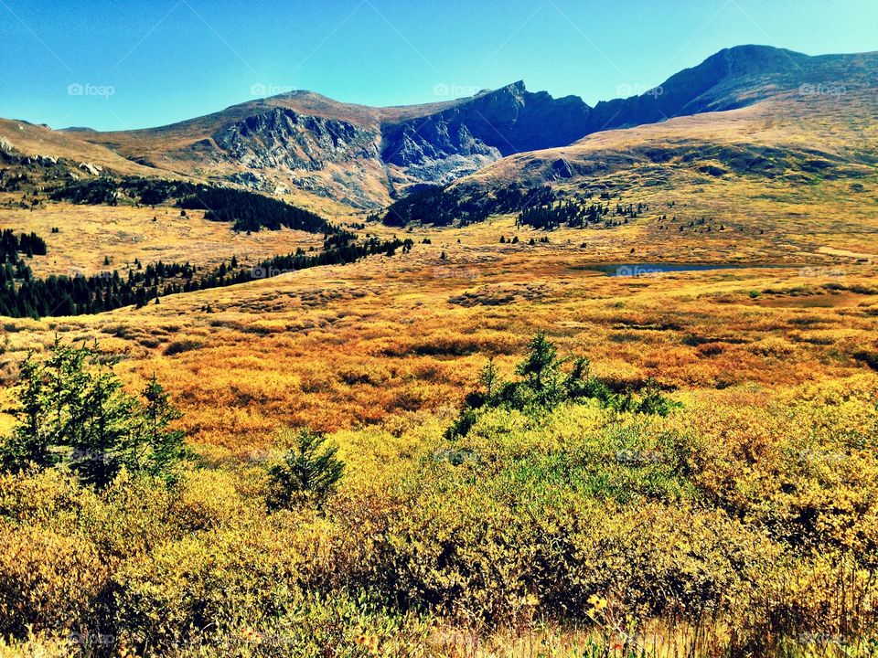 Autumn at Mount Biersdadt 