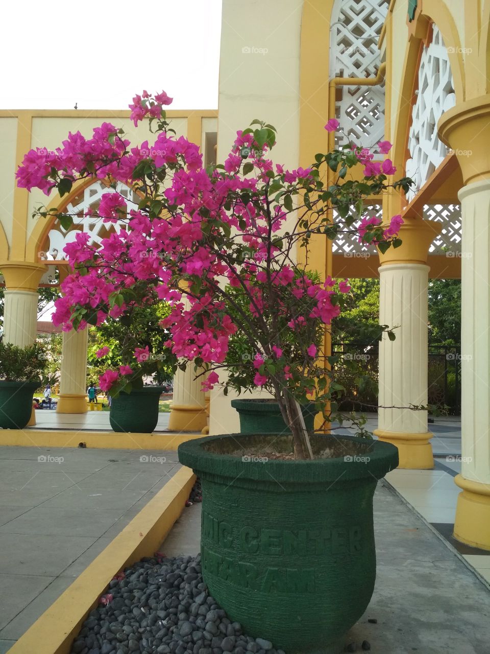 Flower at the mosque