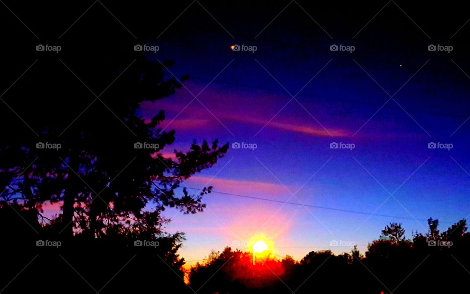 Silhouette, Moon, Light, Landscape, Evening