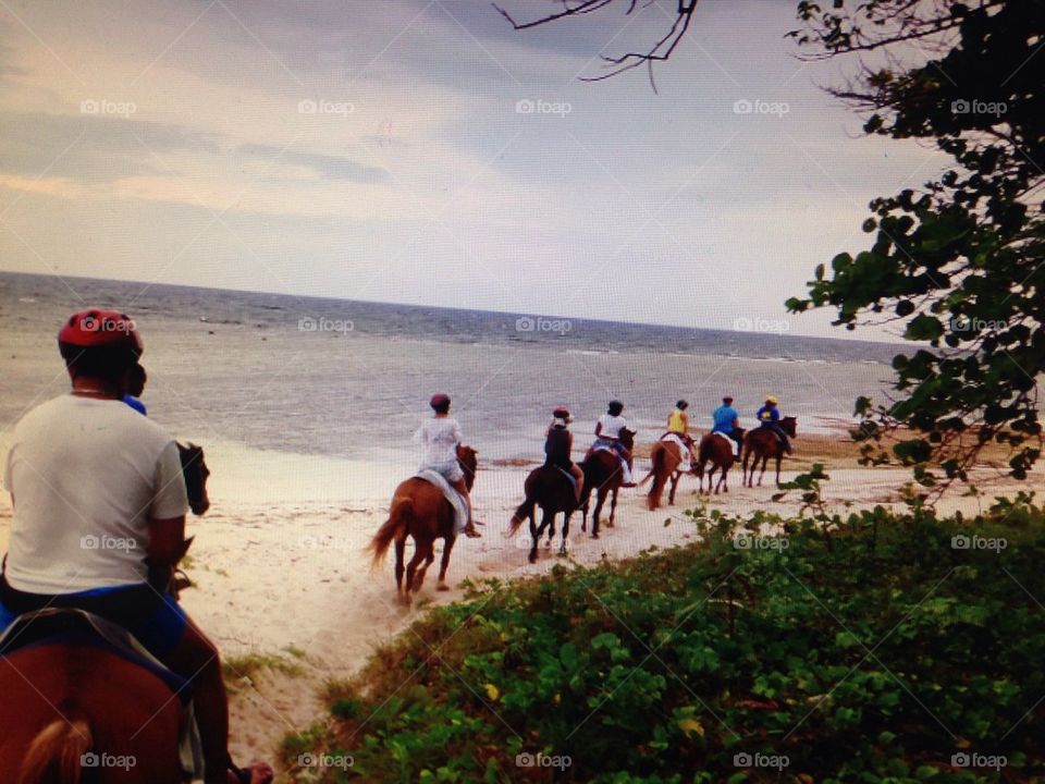 Horse back ride