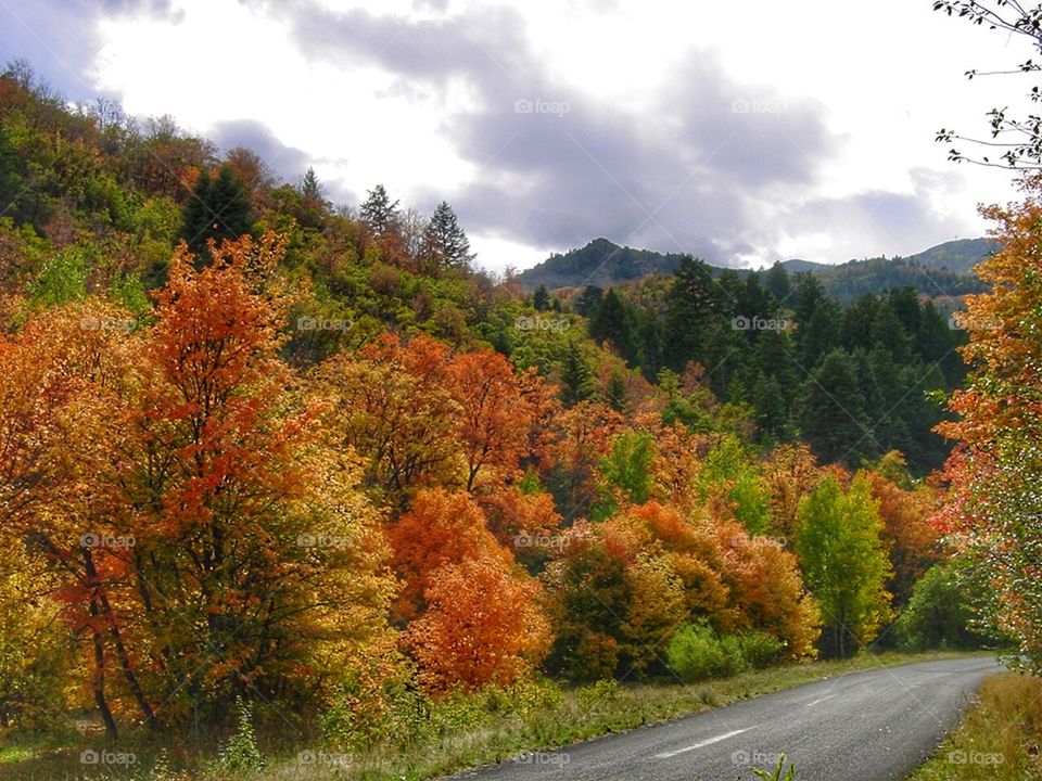 Autumn in the mountains 