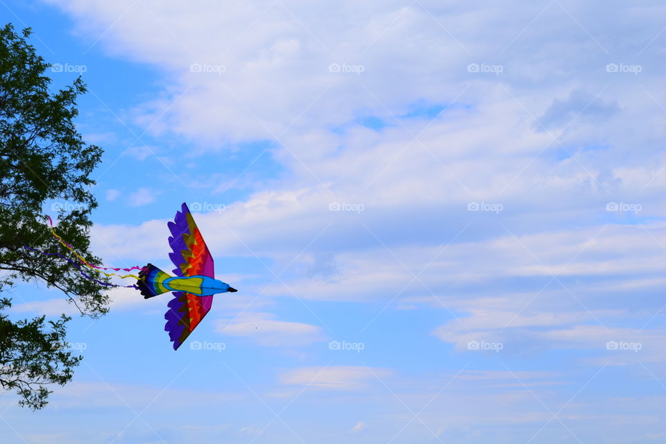 kite flying Saturday's