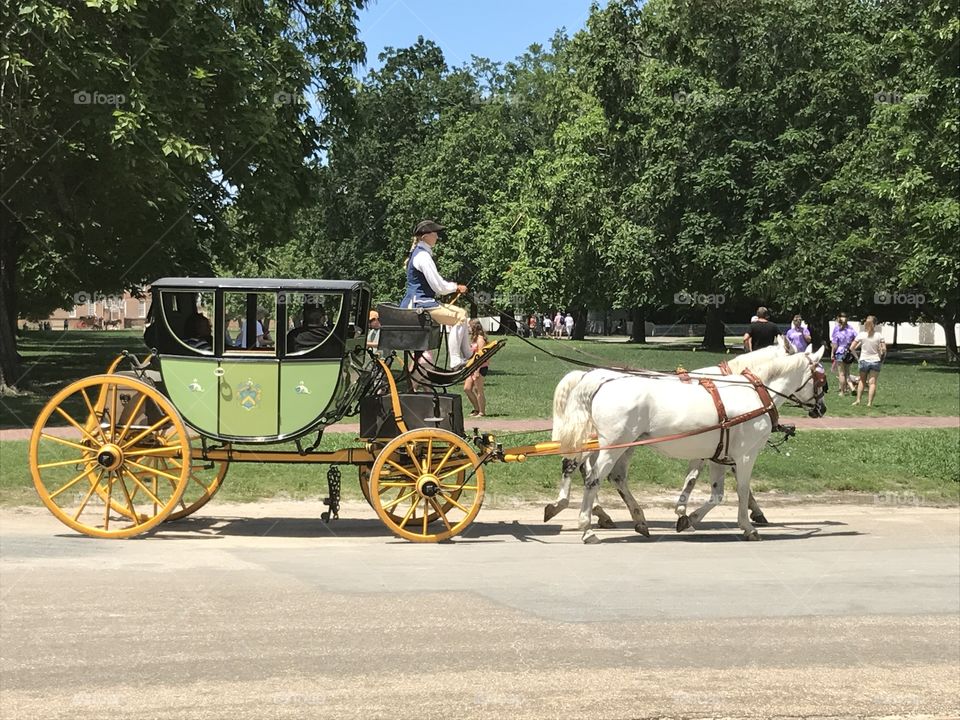 Carriage, Vehicle, Transportation System, Horse, People