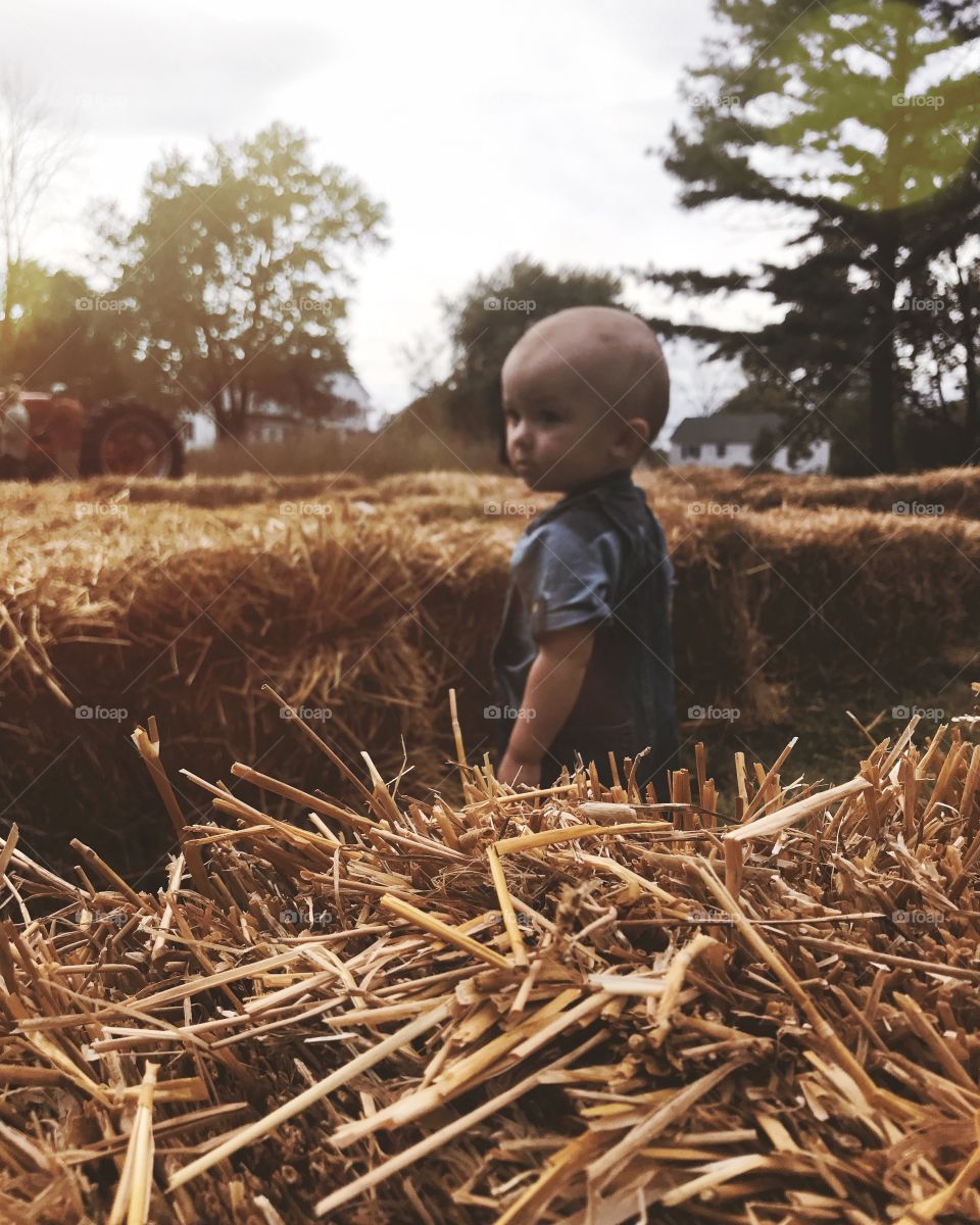 Baby boy in a hay maze