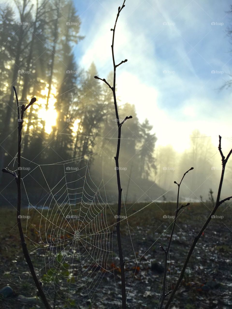 Nature, Dawn, Landscape, No Person, Outdoors