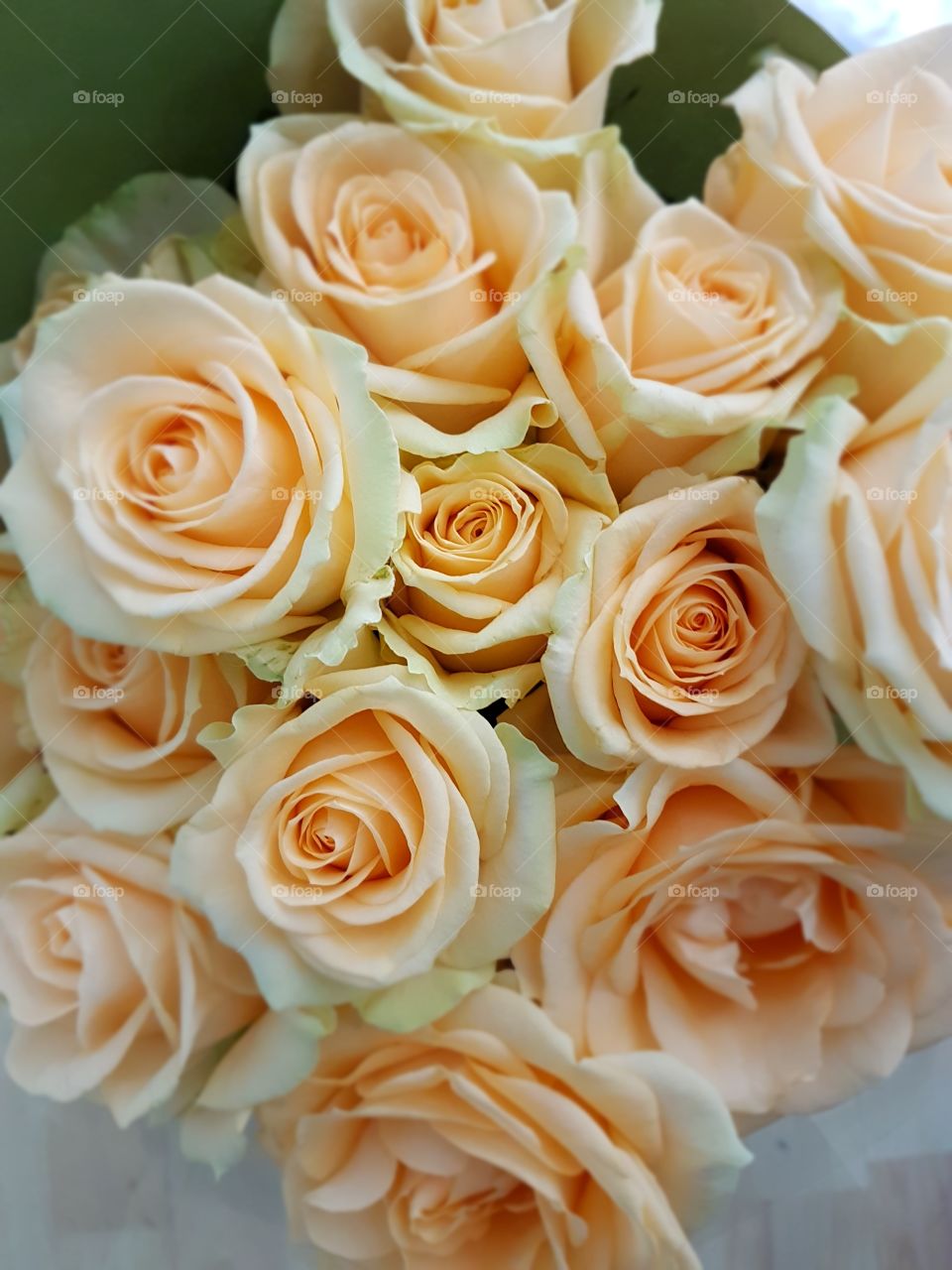 Rose, Bouquet, Love, Flower, Wedding