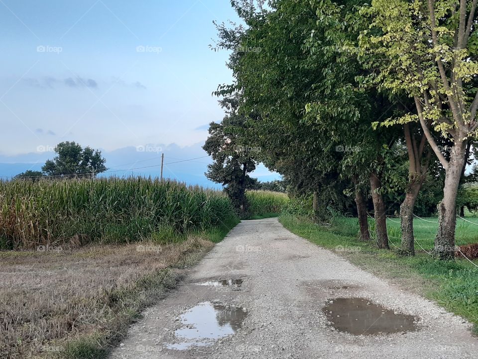 countryside after the rain