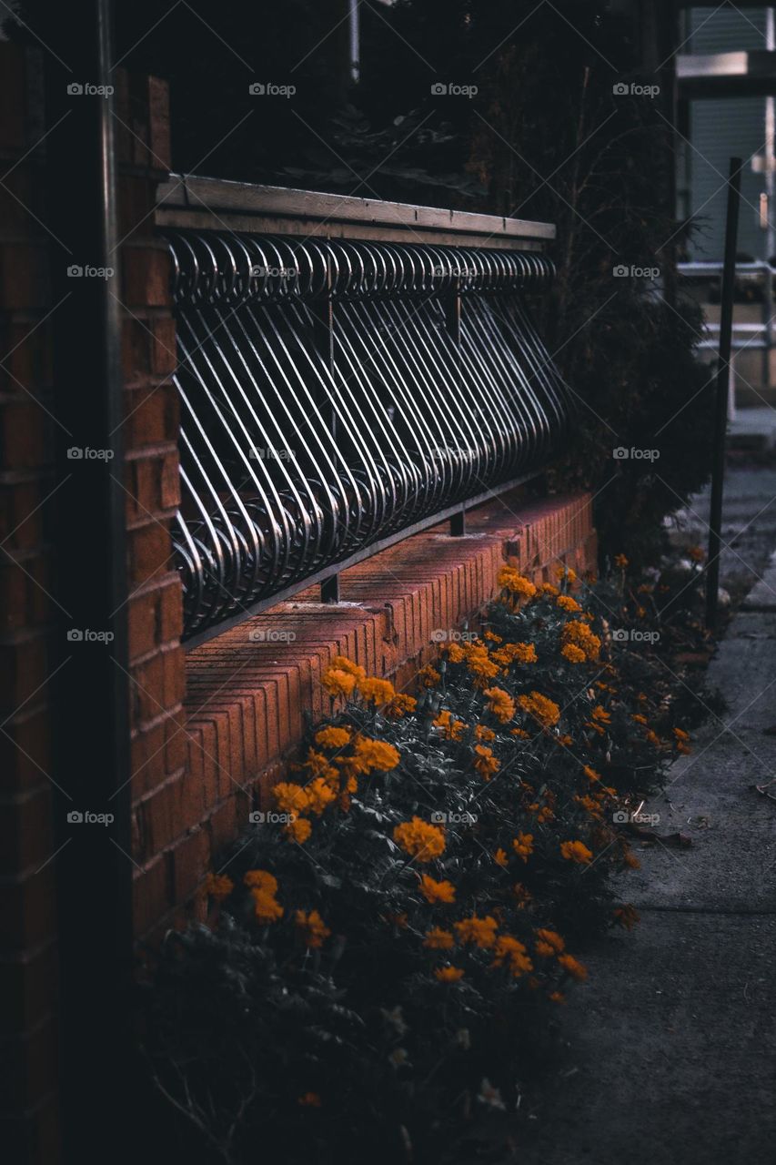 Dark aesthetic rail with brick.