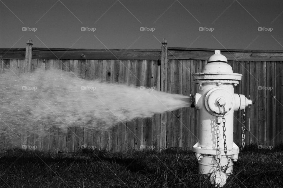 The Hydrant 