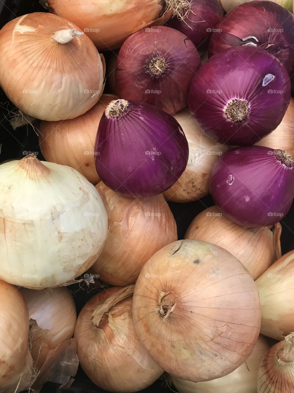 Close up onions 