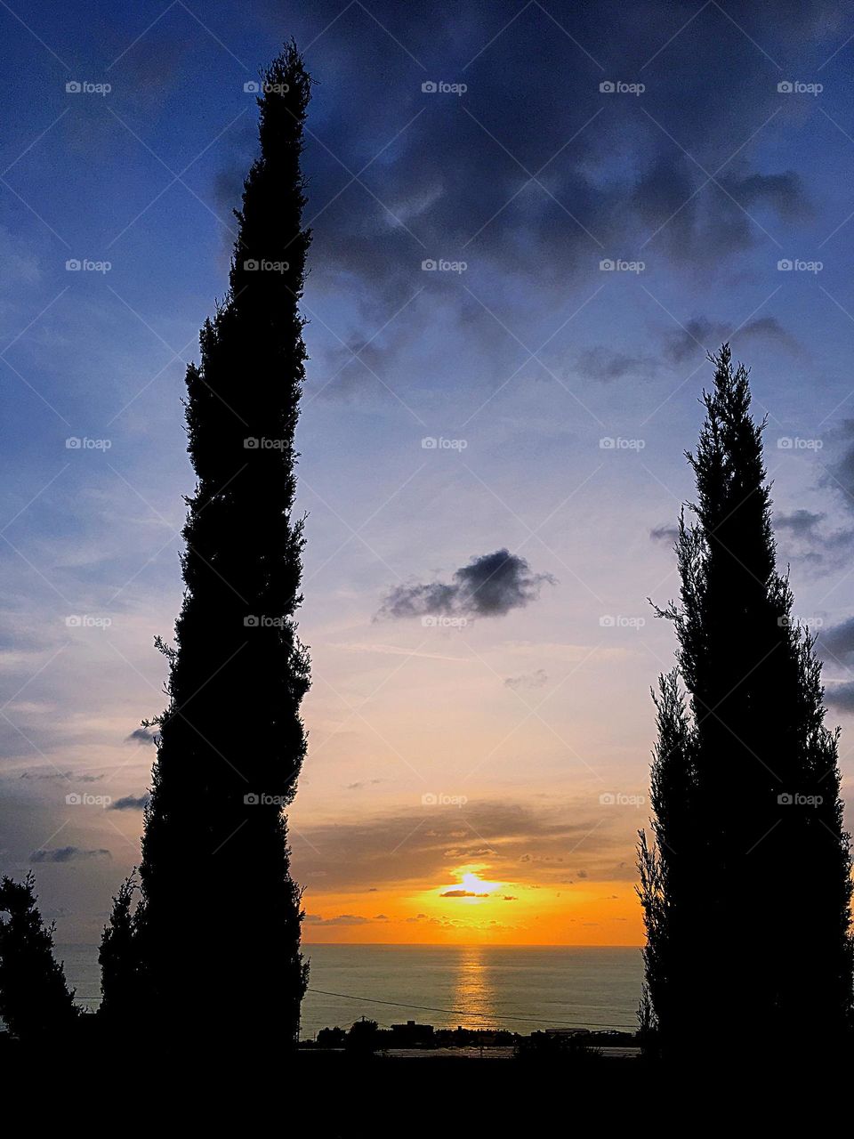 The sun between trees in sunset time