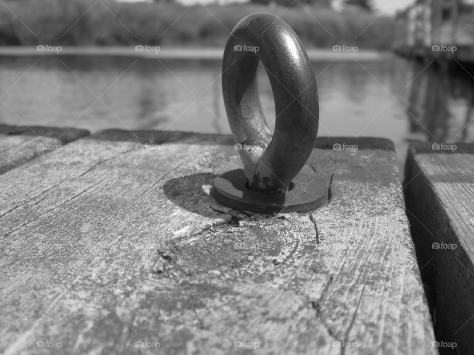 Still life in itself