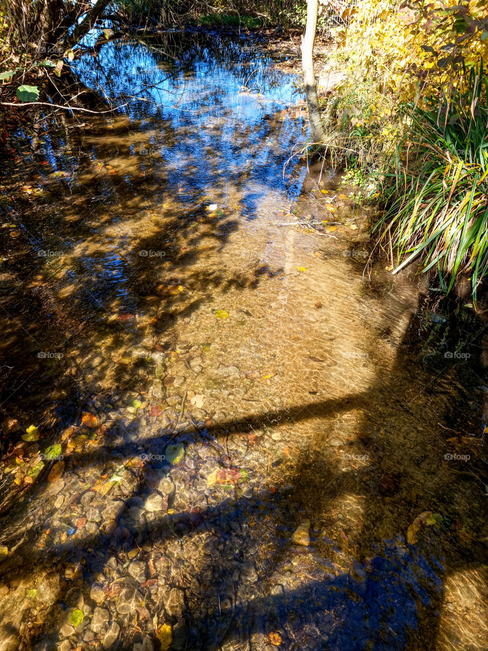 I love the shadows in this picture. Nature is so wonderful and full of magic