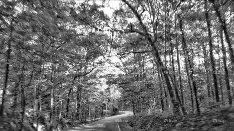 Road trip through the country