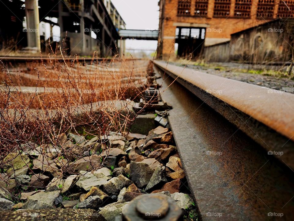 Artificial and natural