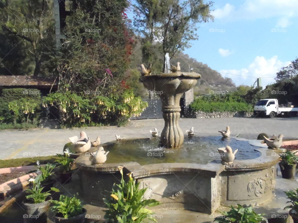 Fountain . Serene fountain with birds at Hotel Atitlan, Guatemala