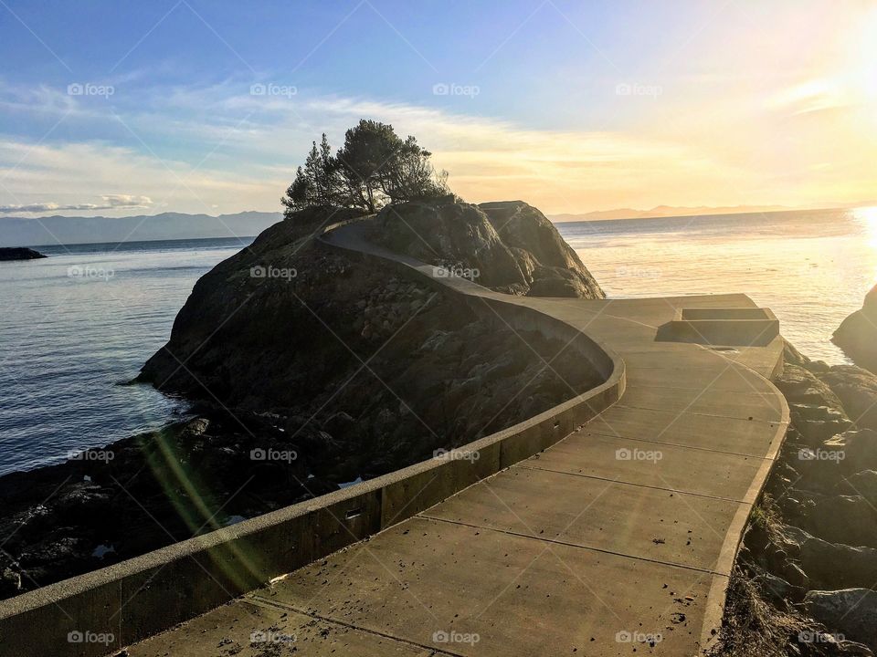 Walkway to a lookout over the ocean. Vancouver Island, Canada. 