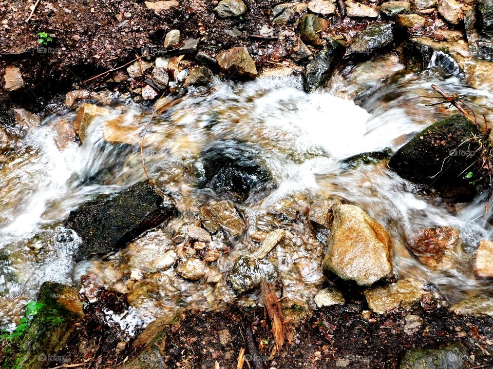Nature stones brook in the forest