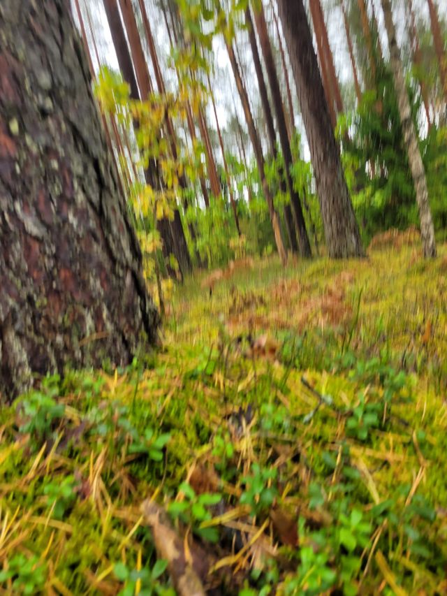 nature