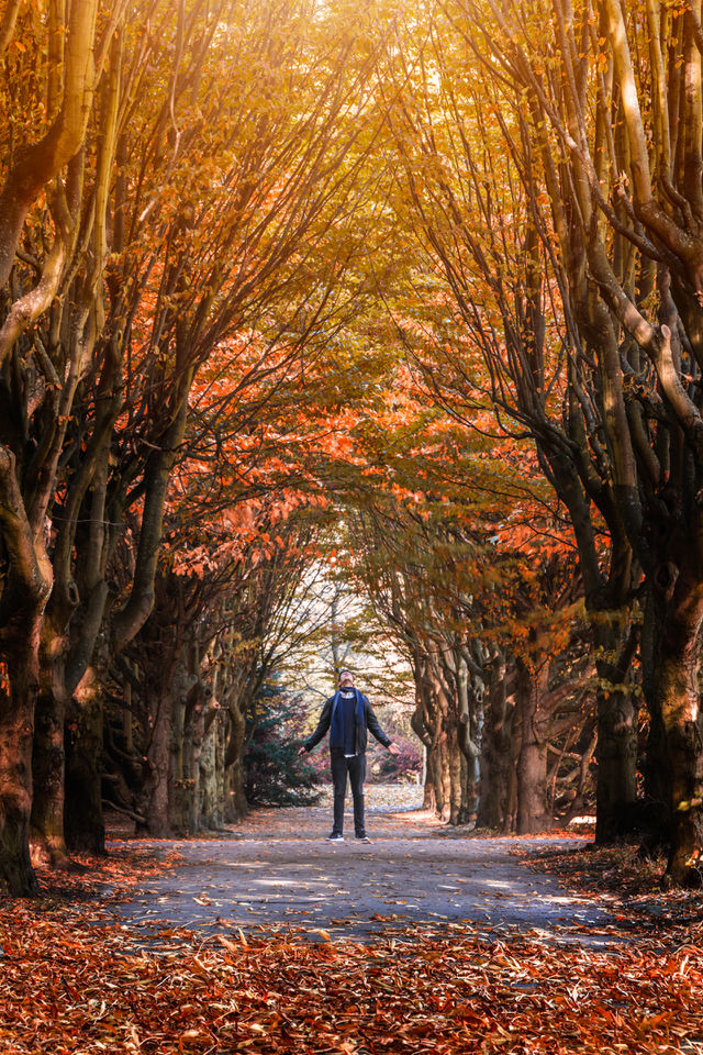 Man in forest