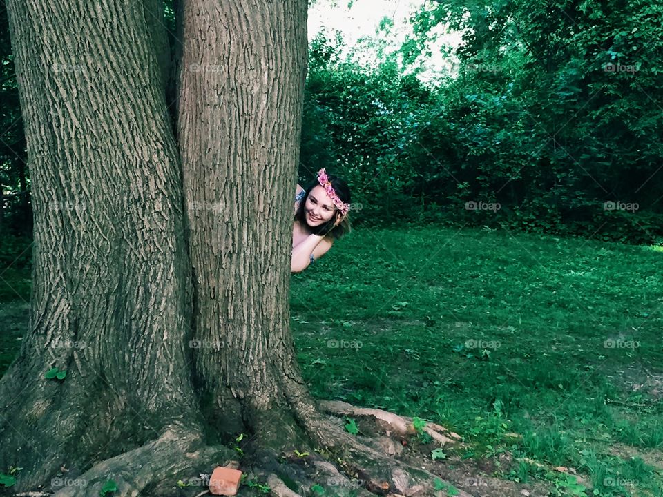 Tree, Wood, Nature, Outdoors, Park