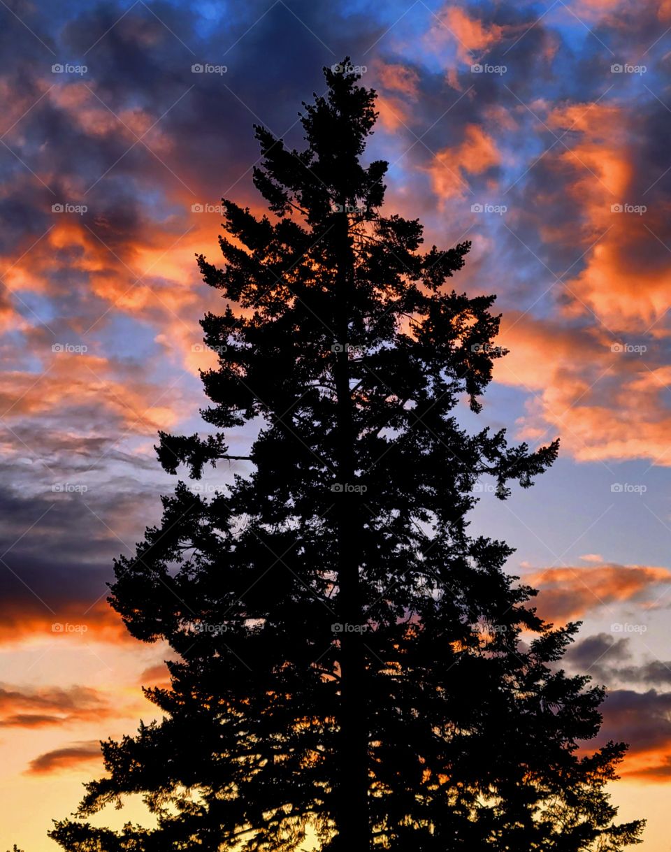 cloudy sunset silhouettes