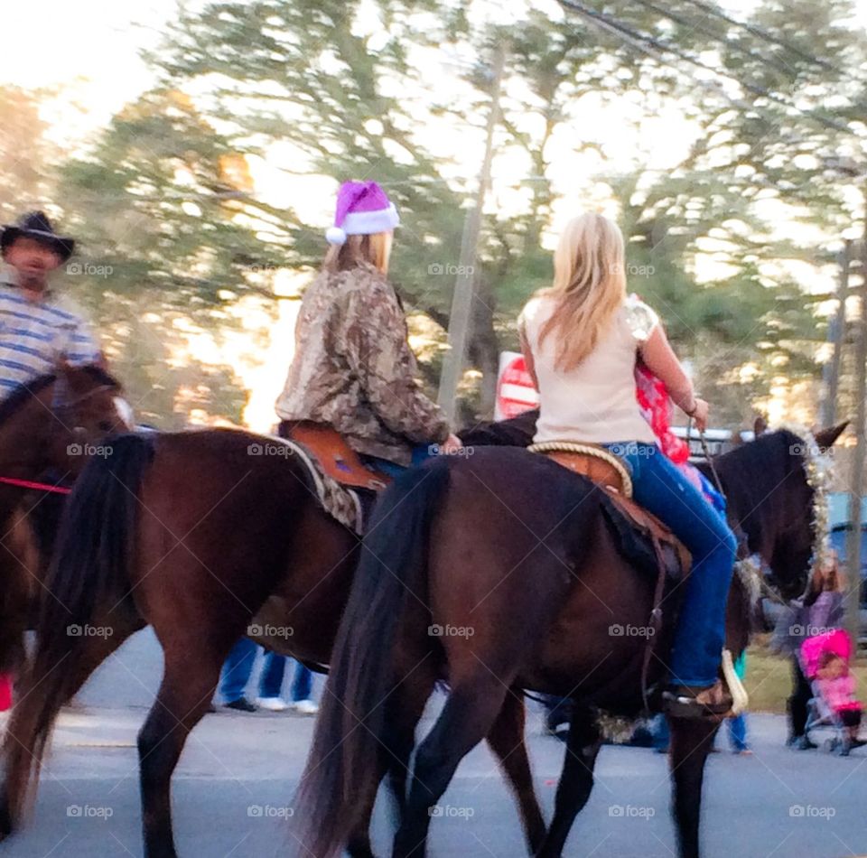 Horses in parade 