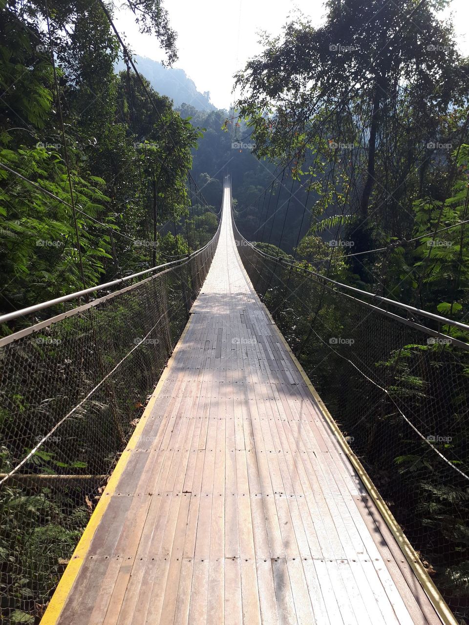 Suspension bridge on the mountain