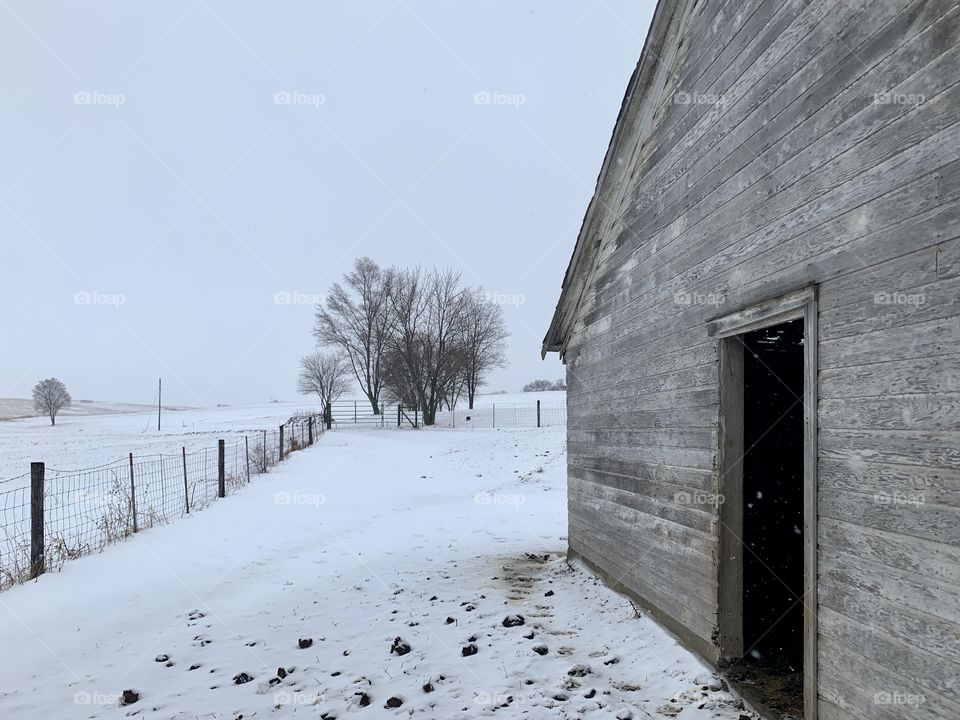 Angled view of a rustic, wooden, cattle shed in winter, wire fence and bare trees seen in the distance to a vanishing point on a snowy horizon 