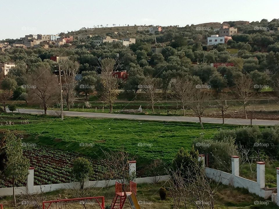 Population between the nature