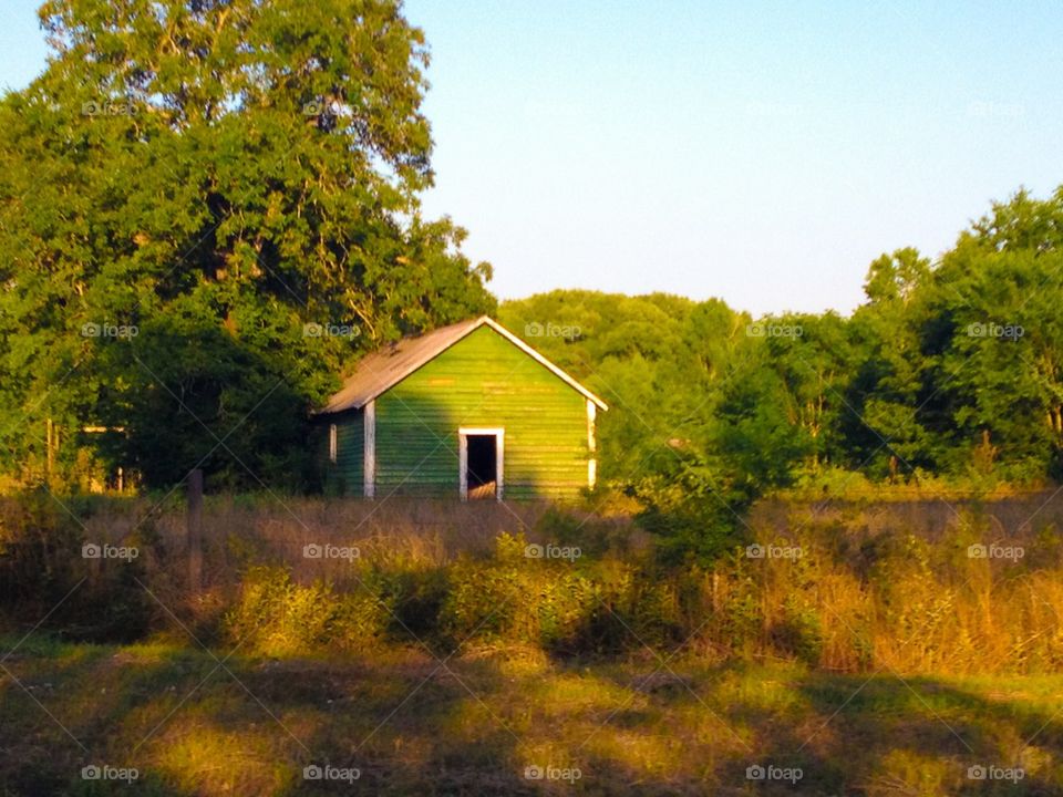 Green barn 