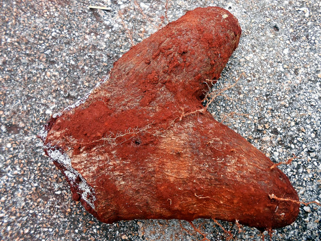 Fresh Yam