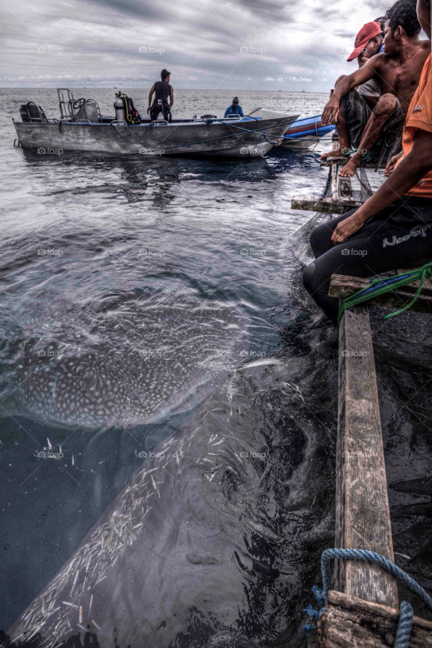 fish feeding scuba divers by paulcowell